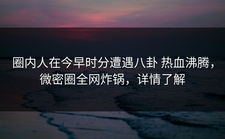 圈内人在今早时分遭遇八卦 热血沸腾，微密圈全网炸锅，详情了解